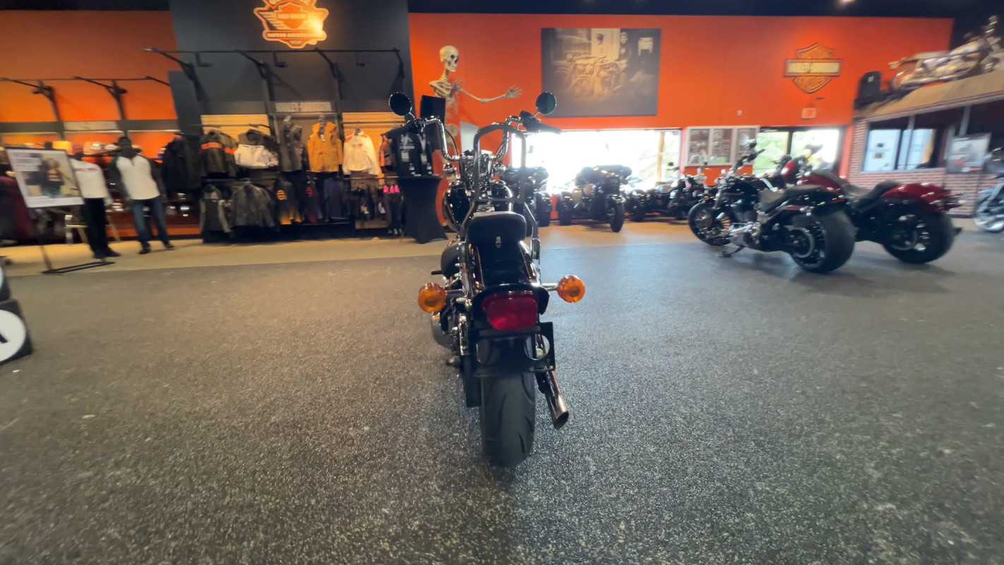 Springer® Softail®