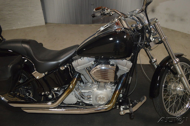 Softail® Standard