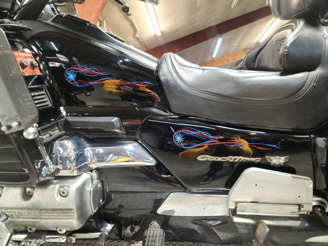 GoldWing SE