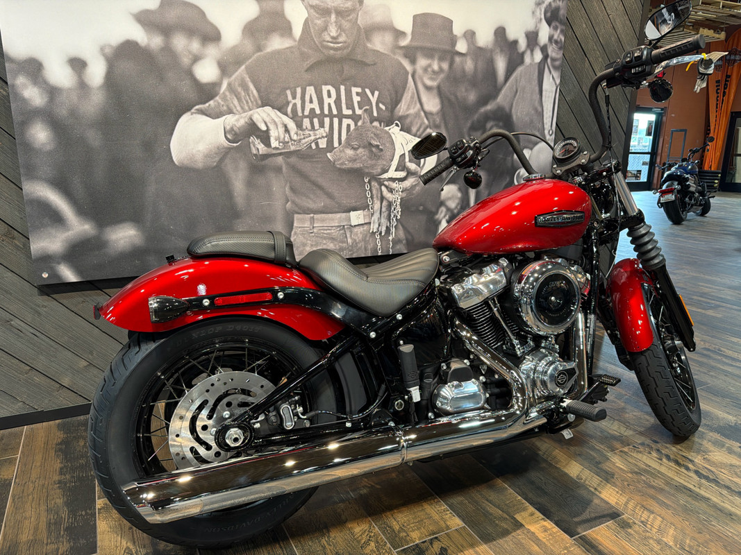 Street Bob®