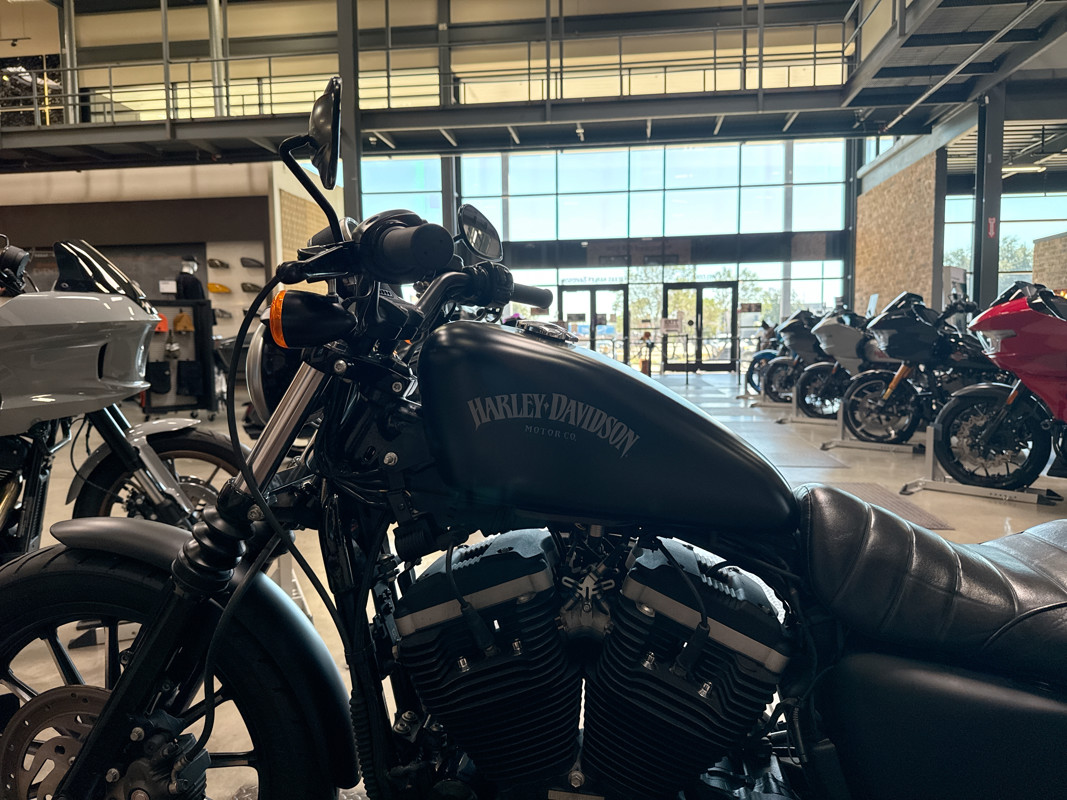 Sportster® Iron 883®