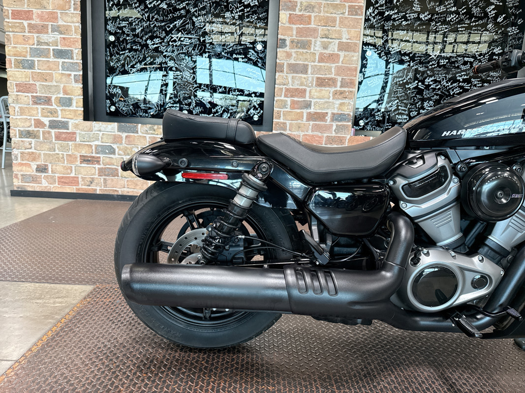 Nightster