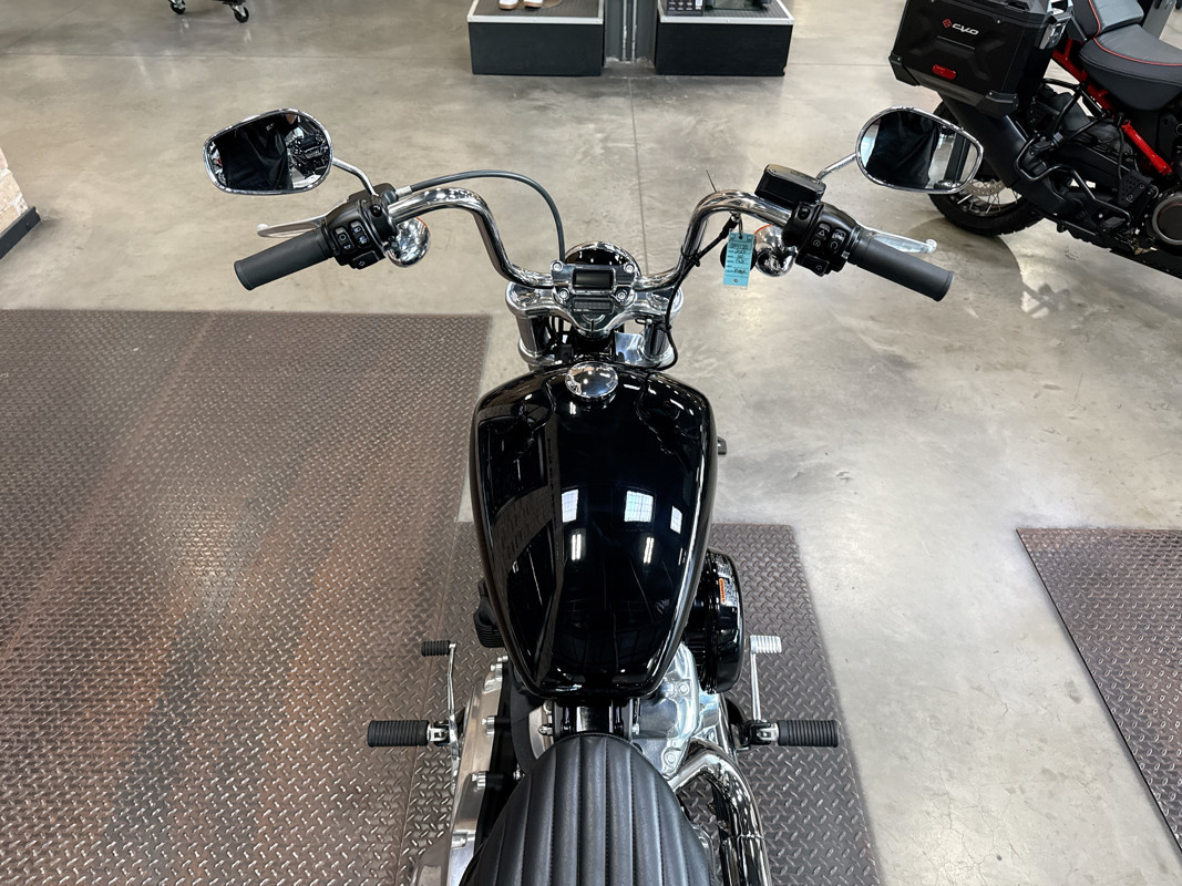 Softail® Standard