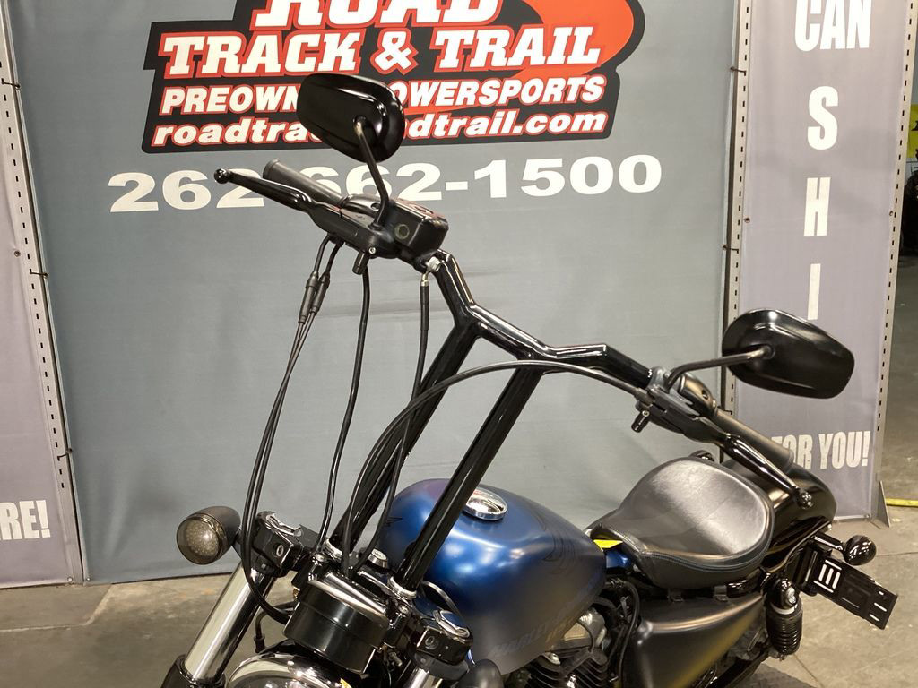 Sportster® Forty-Eight® 115th Anniversary