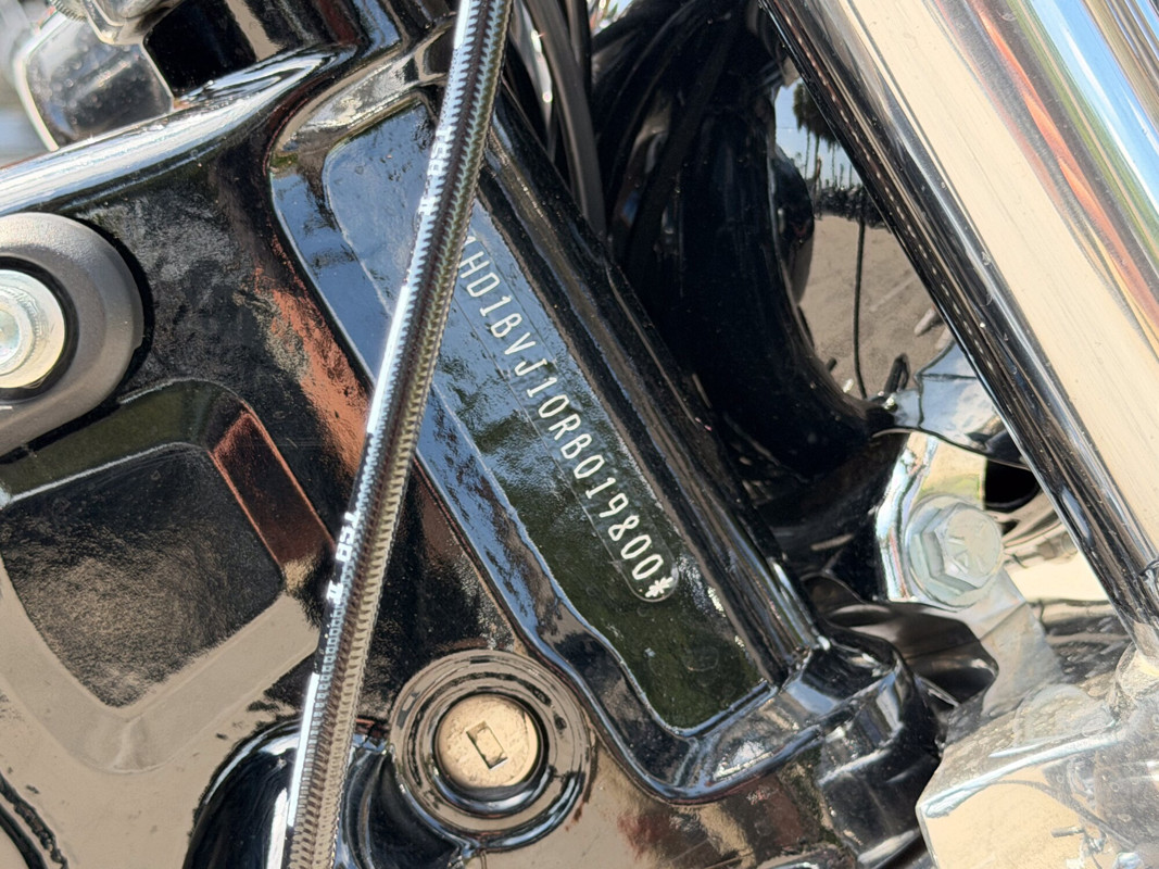 Softail® Standard