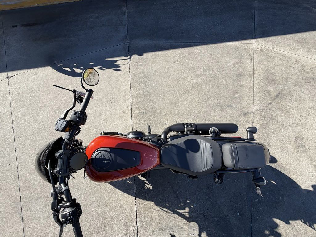 Nightster Special