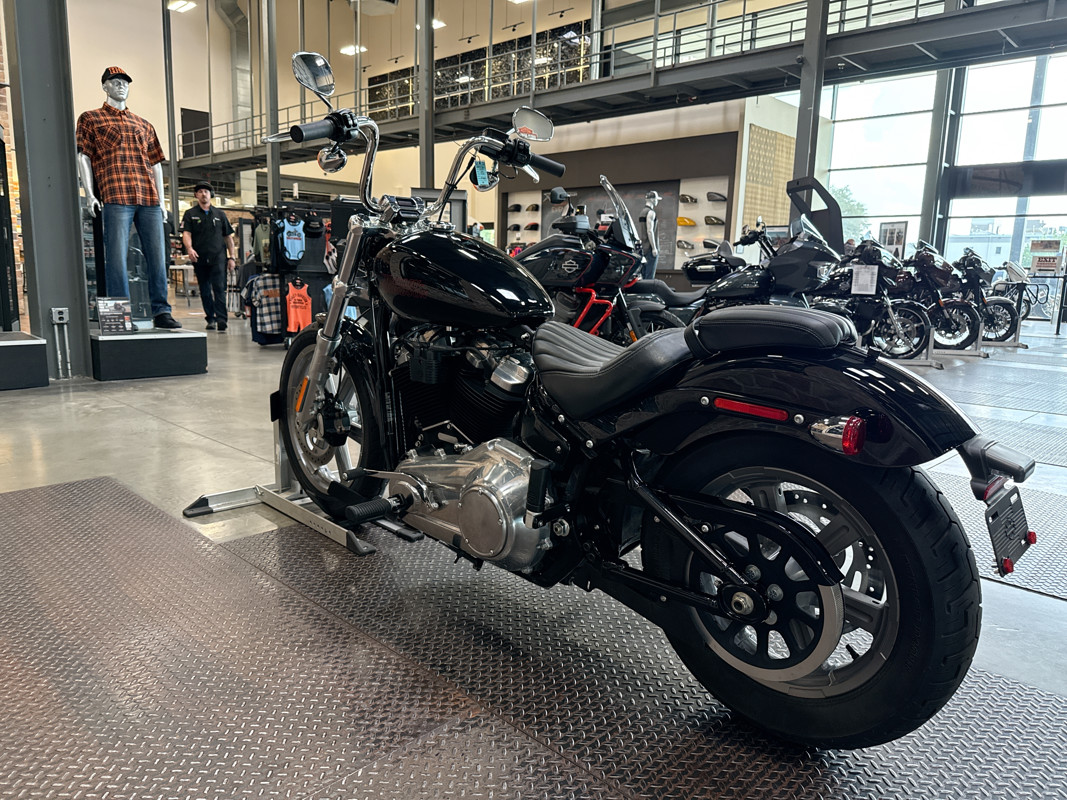 Softail® Standard