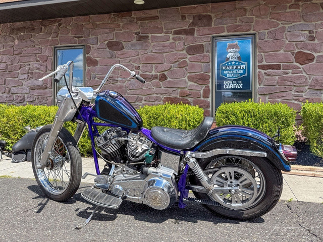 Electra Glide® Police