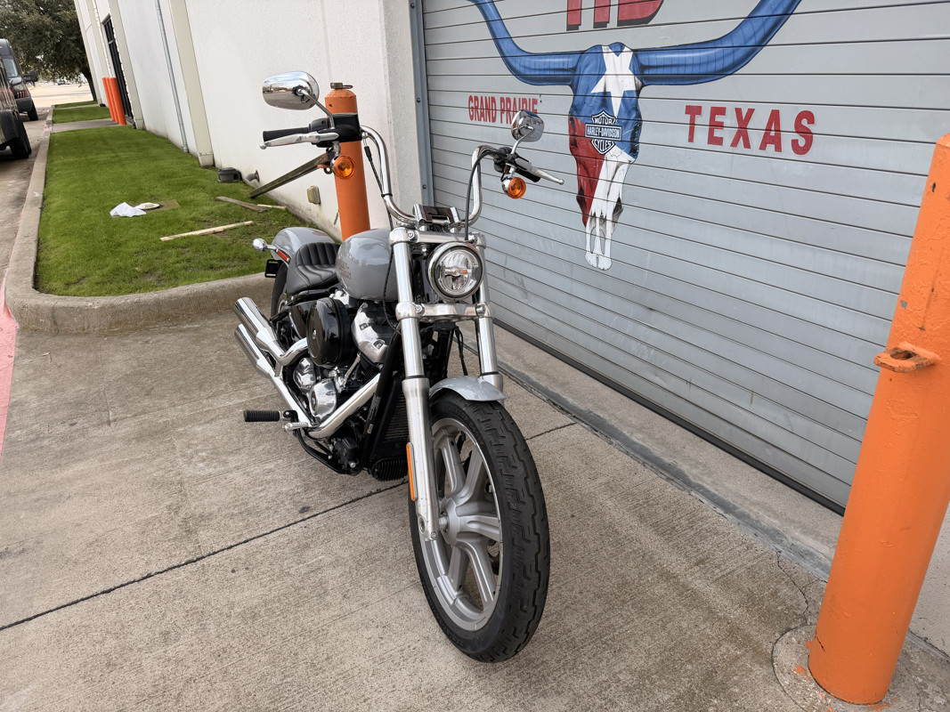 Softail® Standard