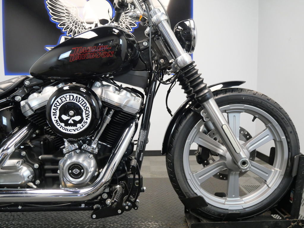 Softail® Standard