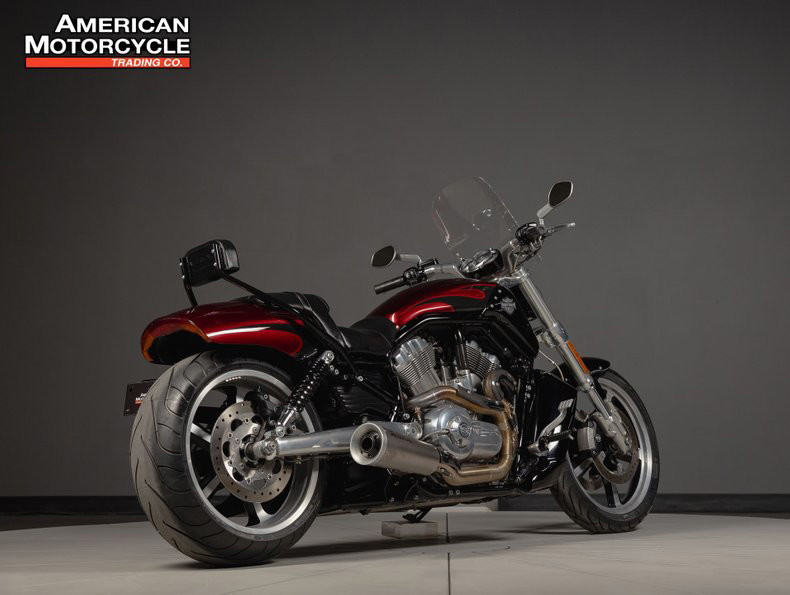 V-Rod® Muscle
