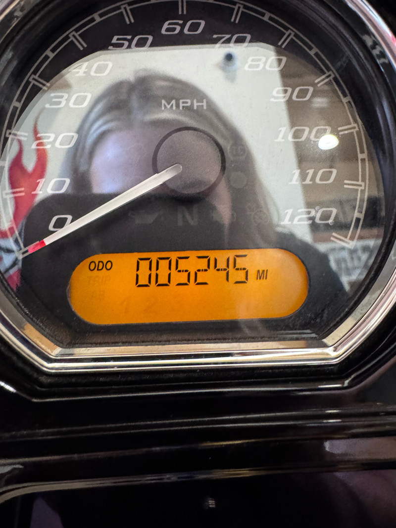 Street Glide® Special