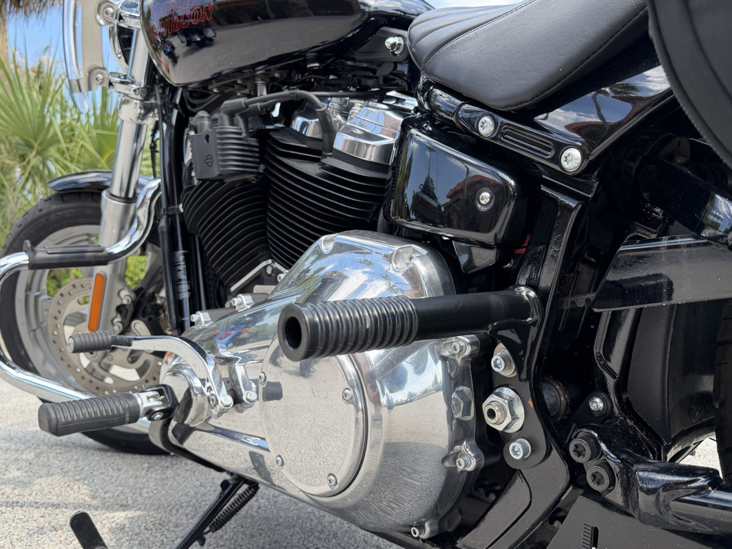 Softail® Standard