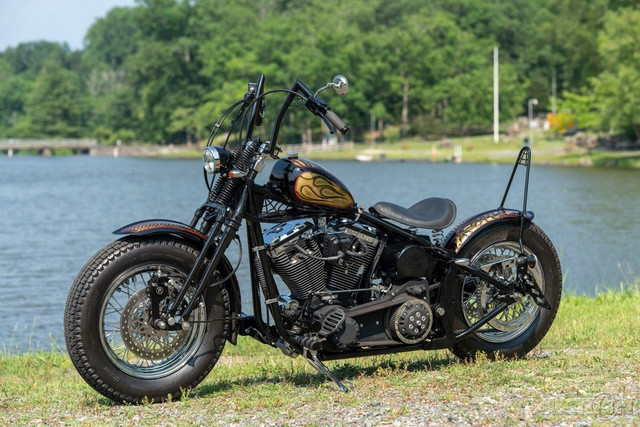 Softail® Standard