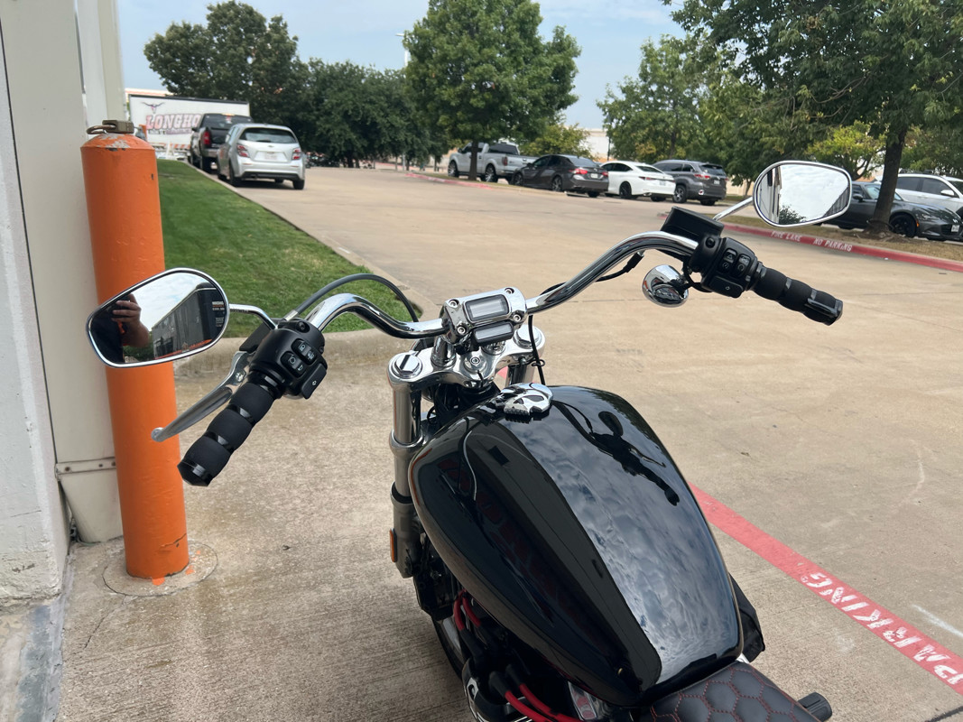Softail® Standard