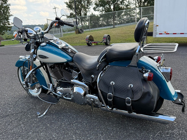Springer® Softail®