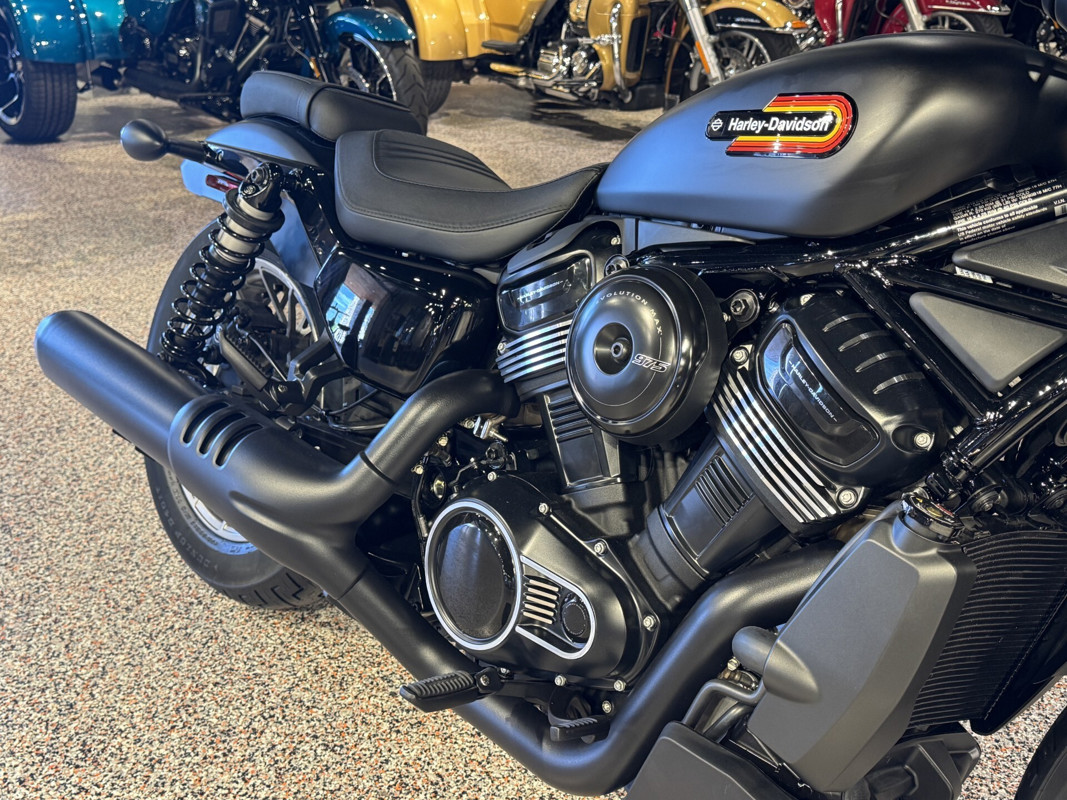 Nightster Special