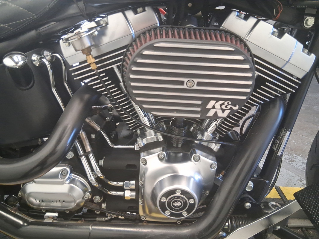 Softail® Fat Boy® Lo