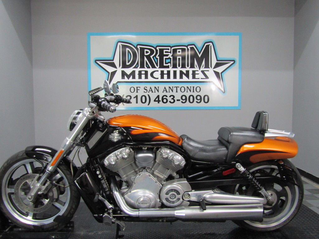 V-Rod® Muscle