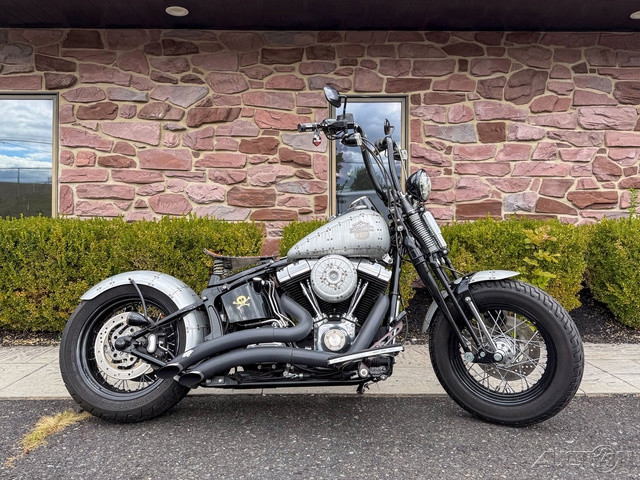 Softail® Cross Bones®