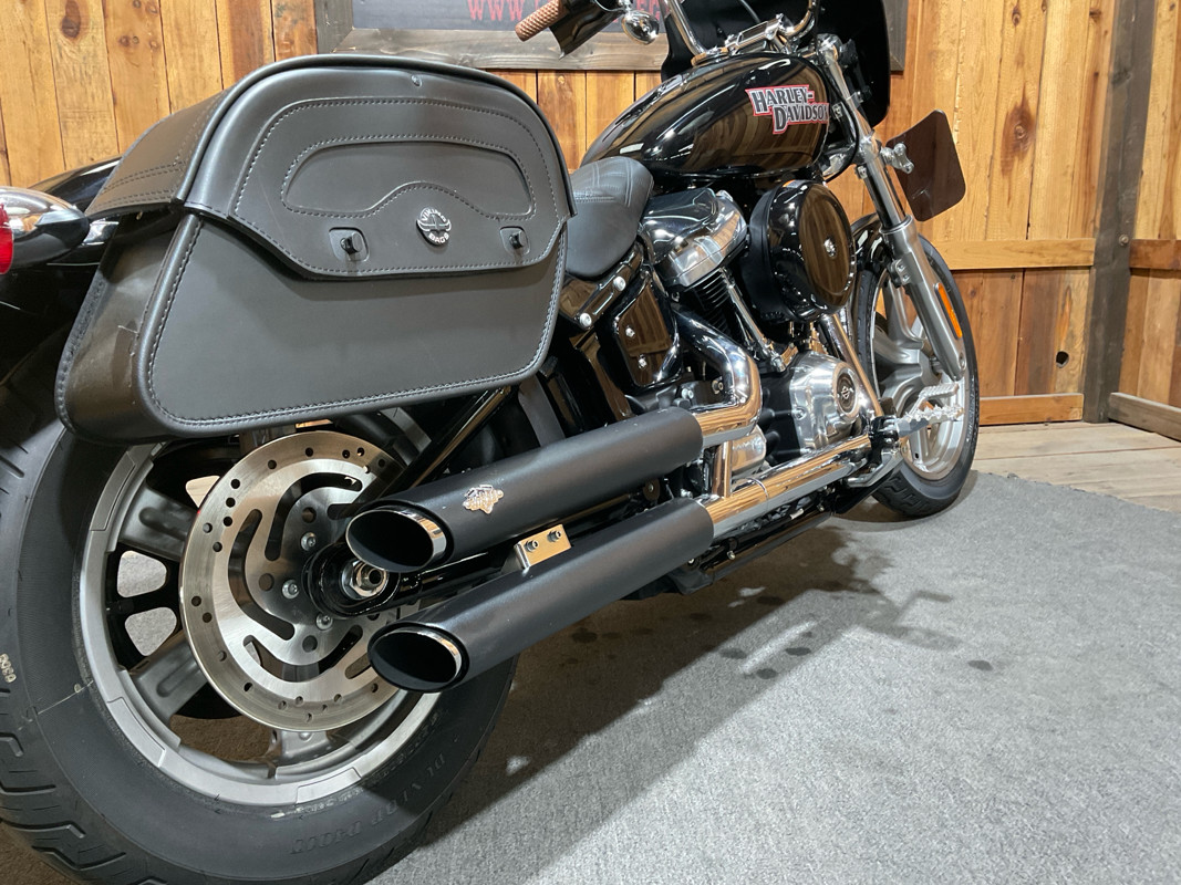Softail® Standard