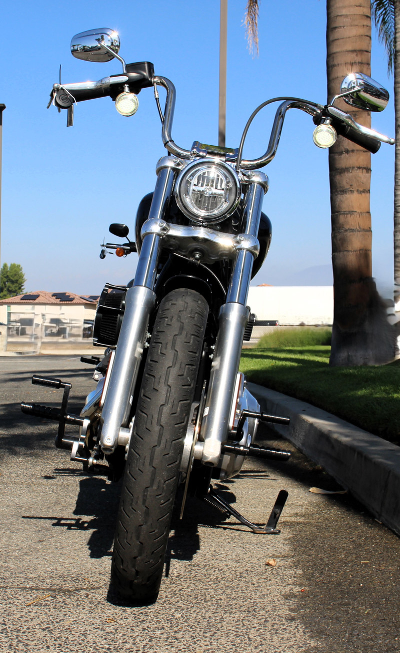 Softail® Standard