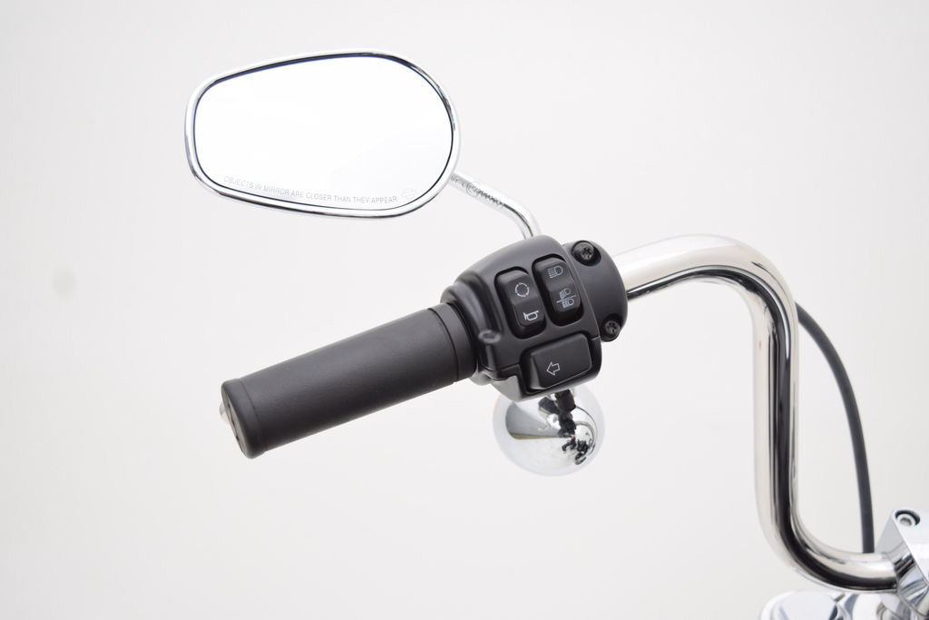 Softail® Standard