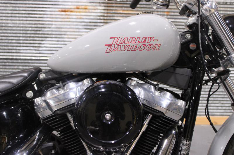 Softail® Standard