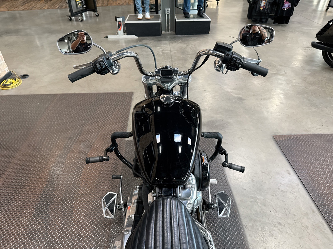 Softail® Standard