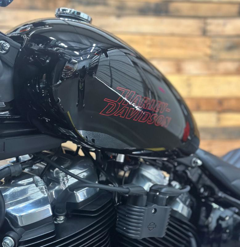 Softail® Standard