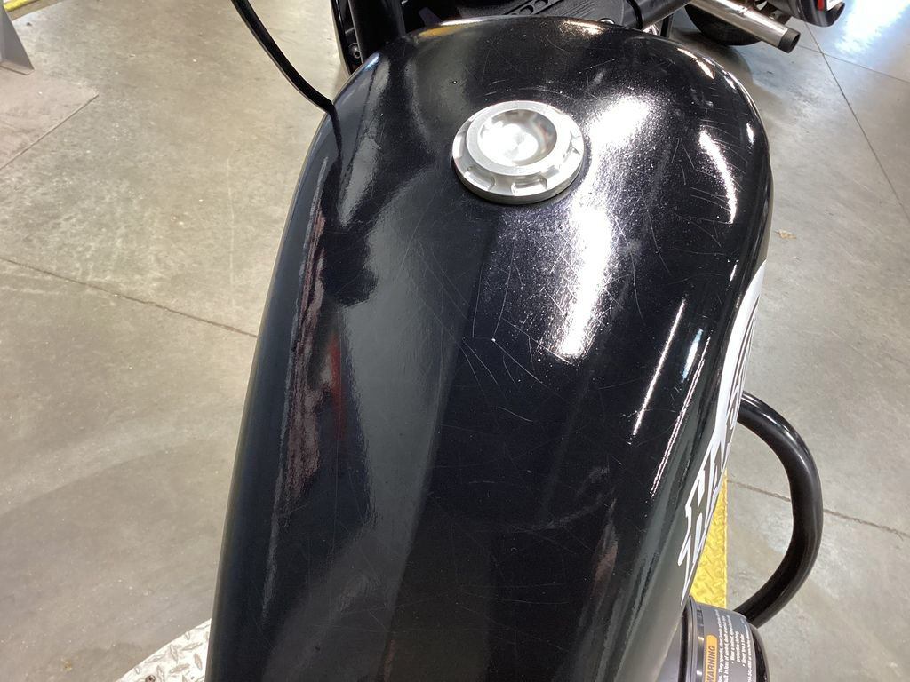 Iron 1200®
