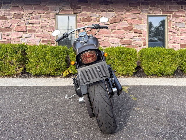 Softail® Night Train®