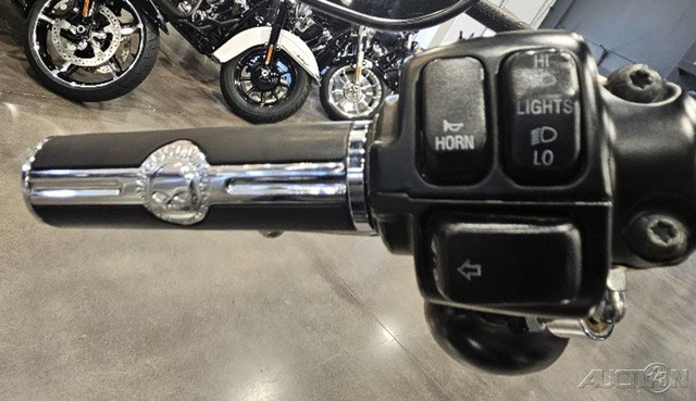 Softail® Fat Boy® Lo