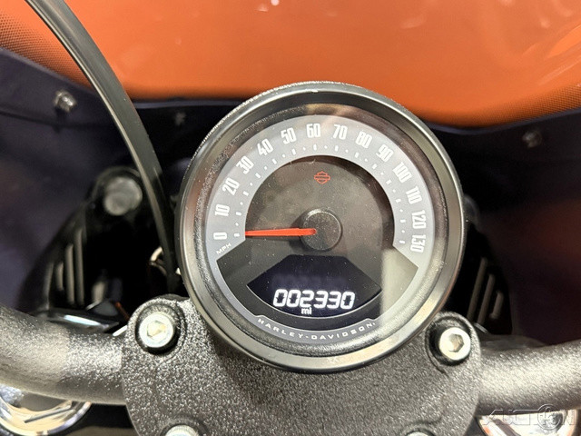 Street Bob®