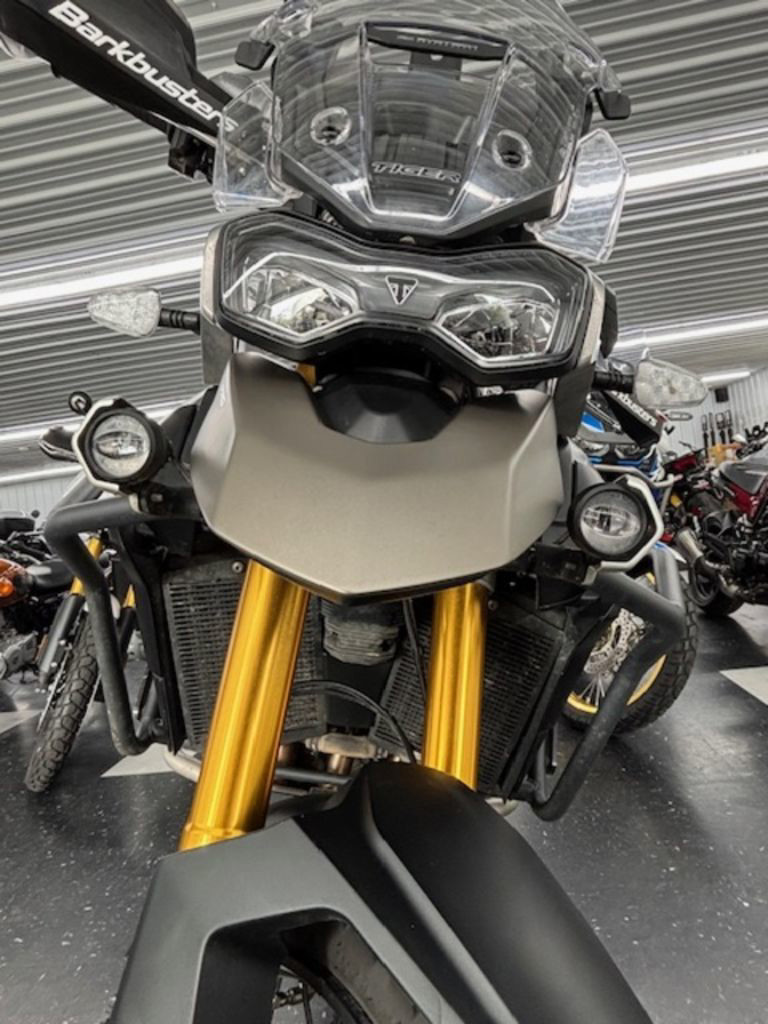 Tiger 900 Rally
