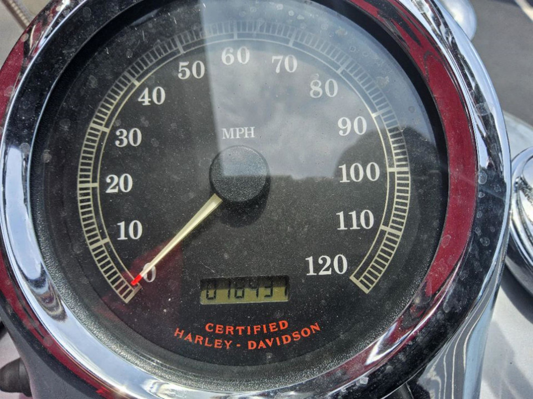 Softail® Deuce®