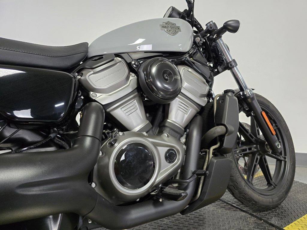 Nightster