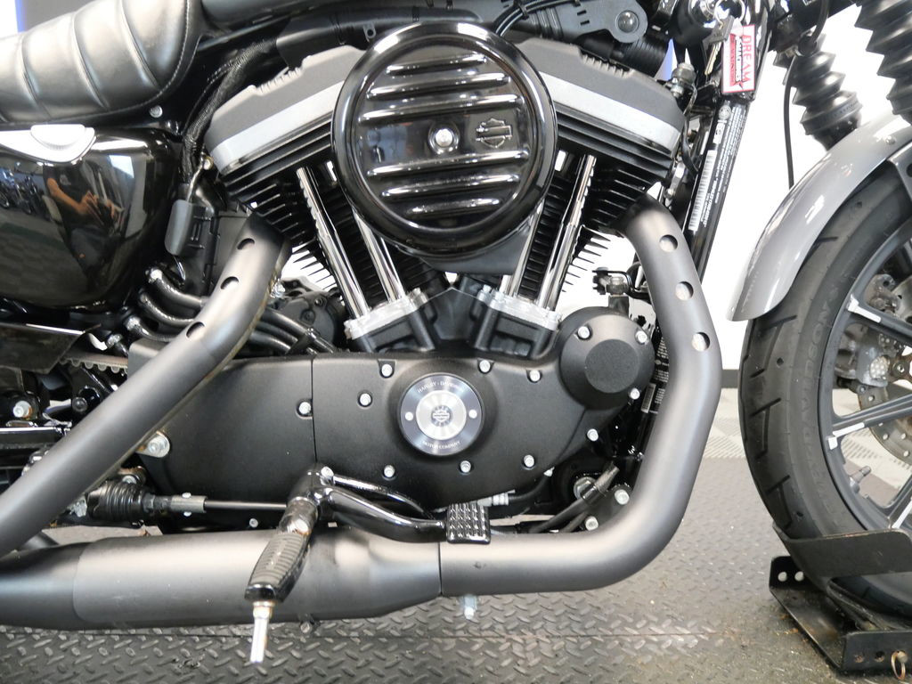 Iron 883®