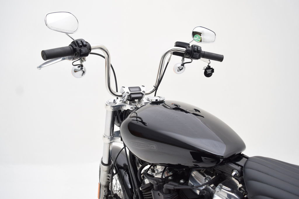 Softail® Standard