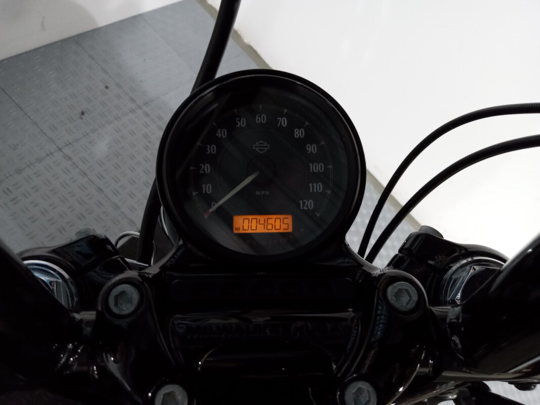 Sportster® Forty-Eight®