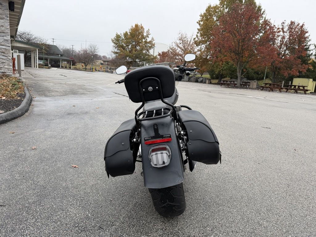 Softail® Fat Boy® Lo