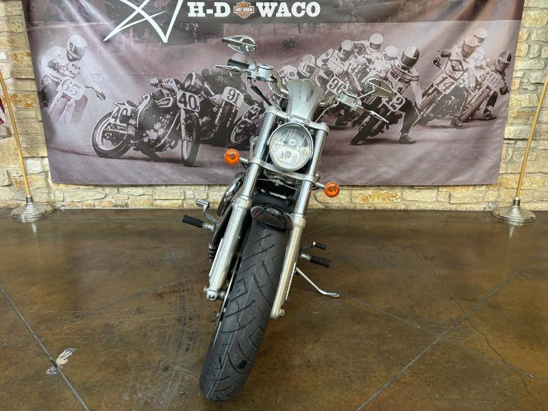 V-Rod® - Silver/Gray Frame