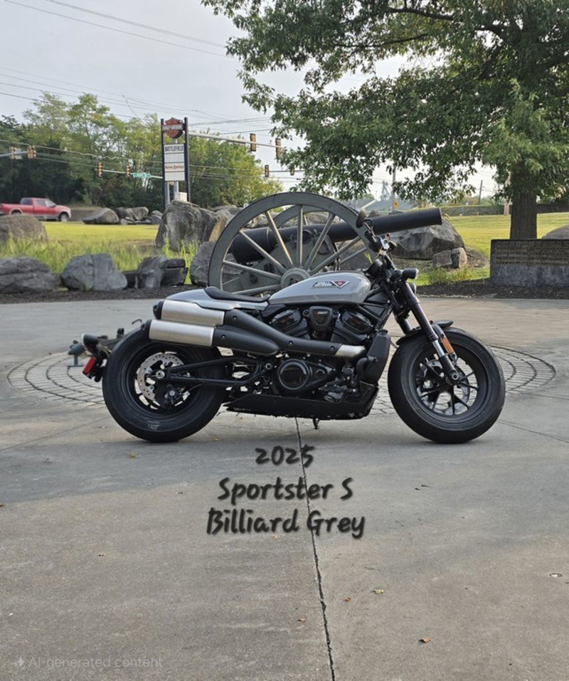 Sportster® S