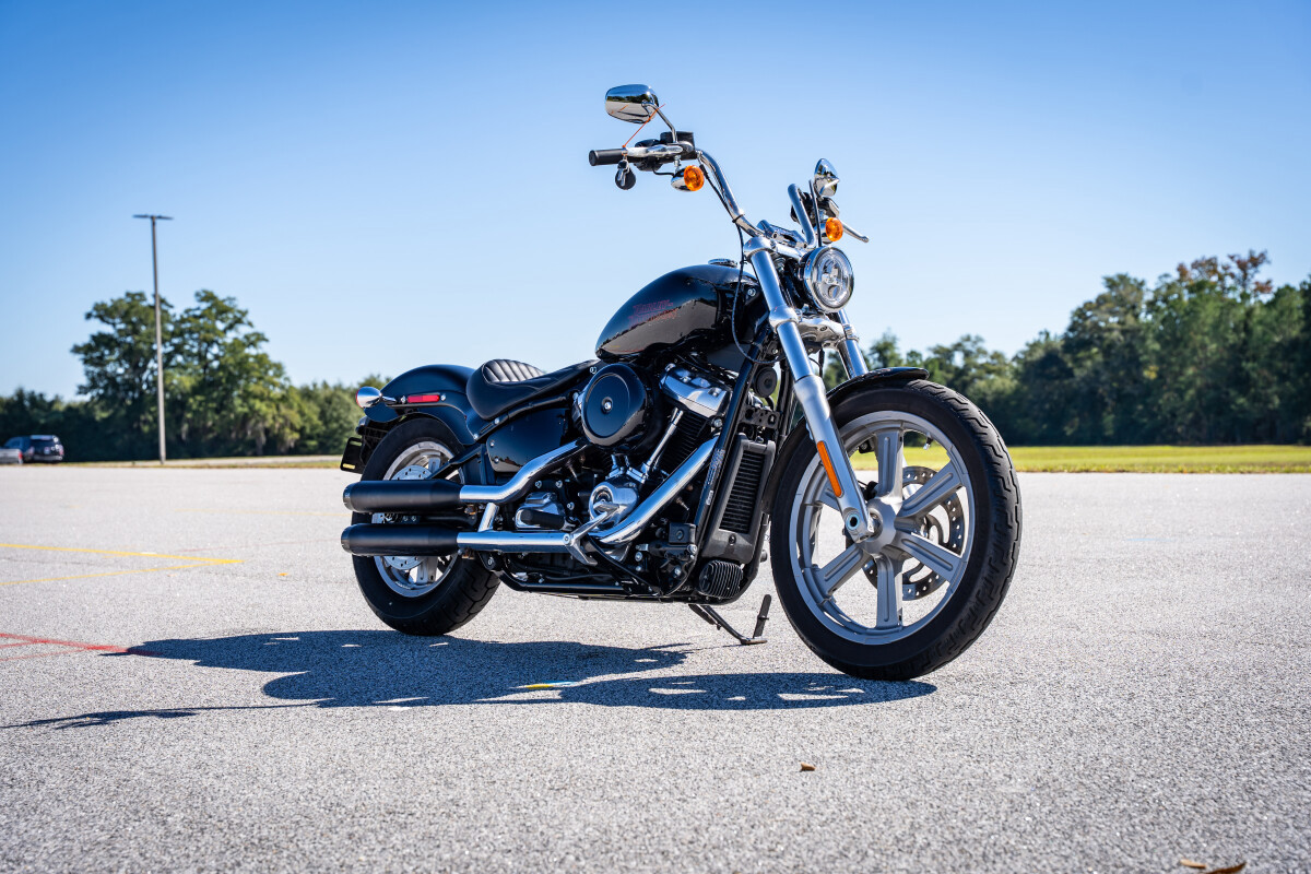 Softail® Standard