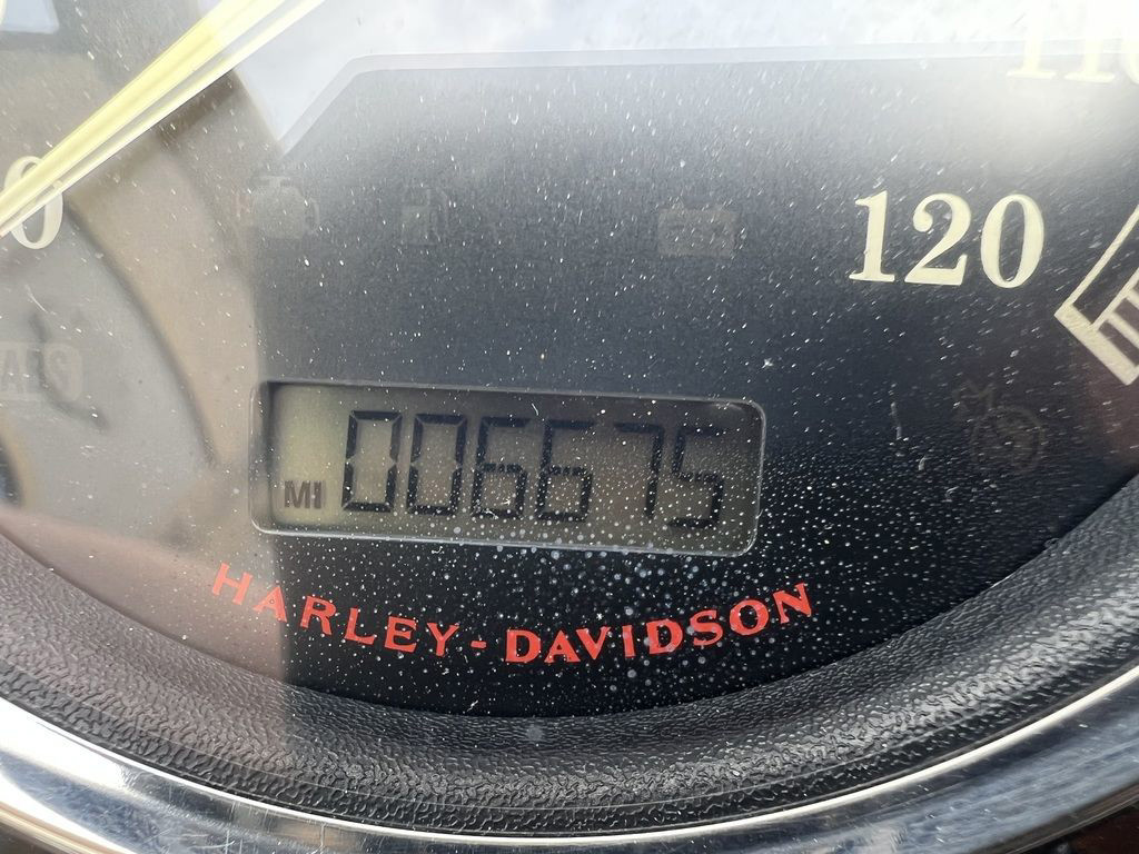 Softail® Fat Boy® Lo