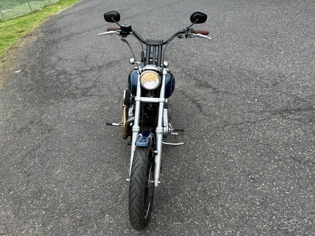 Dyna® Low Rider®