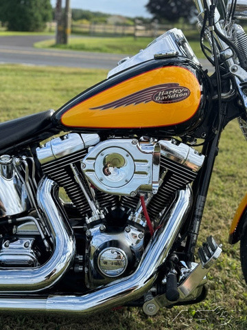 Softail® Springer® 