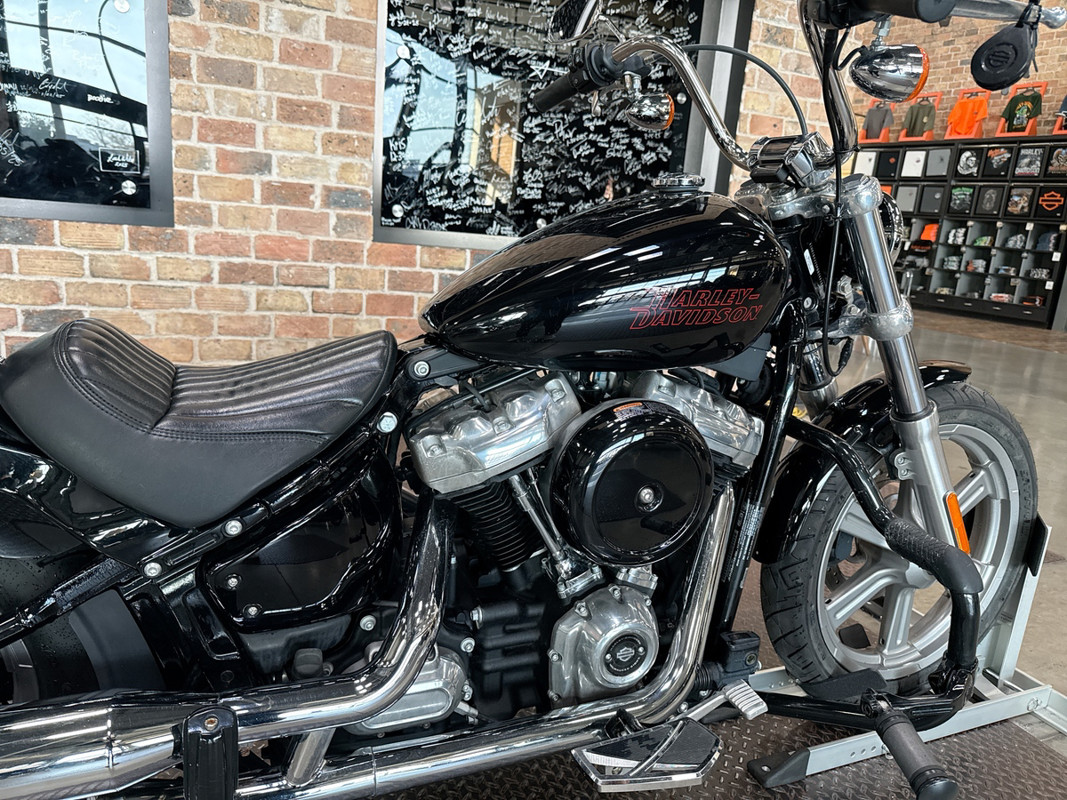 Softail® Standard