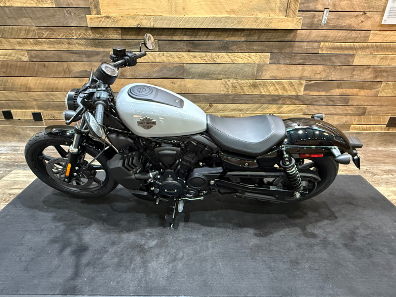 Nightster
