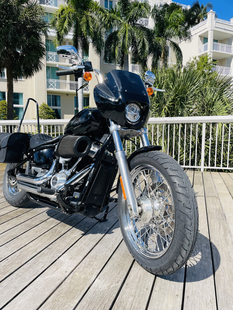 Softail® Standard